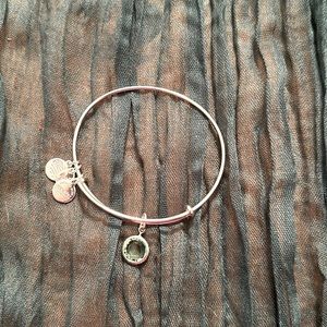 Alex and Ani amethyst birthstone bracelet